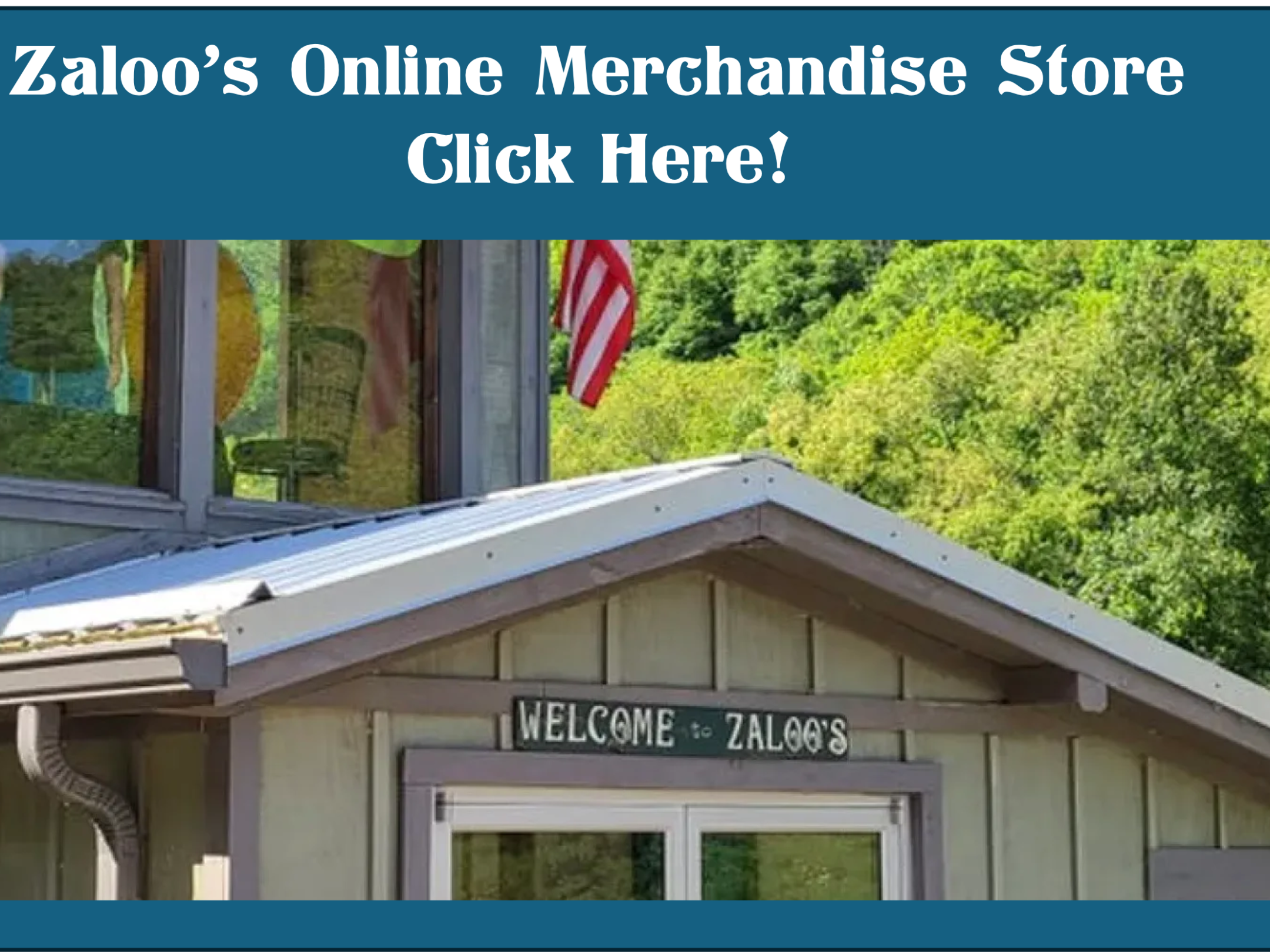 Building entrance with sign 'Welcome to Zaloos' and flag; text above: 'Zaloo’s Online Merchandise Store'
